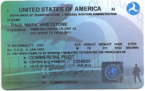 light sport pilots license